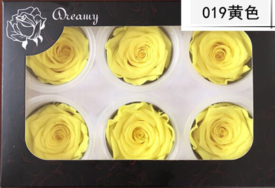 5-6CM (6pcs-box) Solid color preserved rose head-Yellow