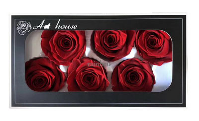 5-6CM (6pcs-box) Solid color preserved rose head Red Color