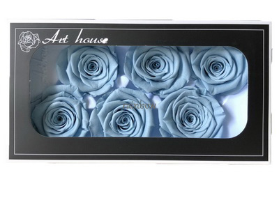 5-6CM (6pcs-box) Solid color preserved rose head-grey blue