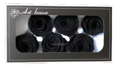 5-6CM (6pcs-box) Solid color preserved rose head-black color