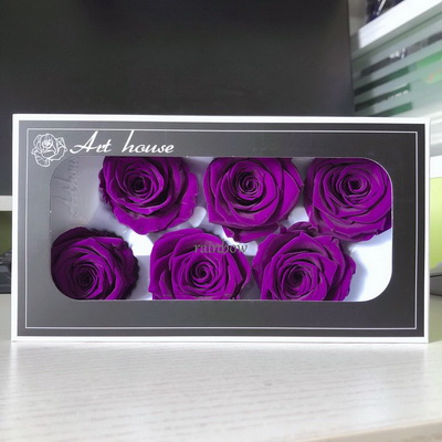 5-6CM (6pcs-box) Solid color preserved rose head-Purple color