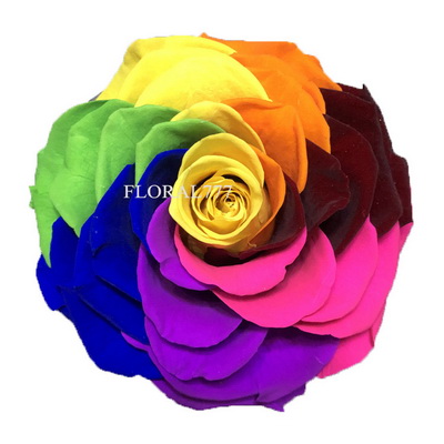 9-10CM Big Size preserved Rose head(1pcs-box)-19