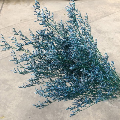 Preserved Limonium Grass-03