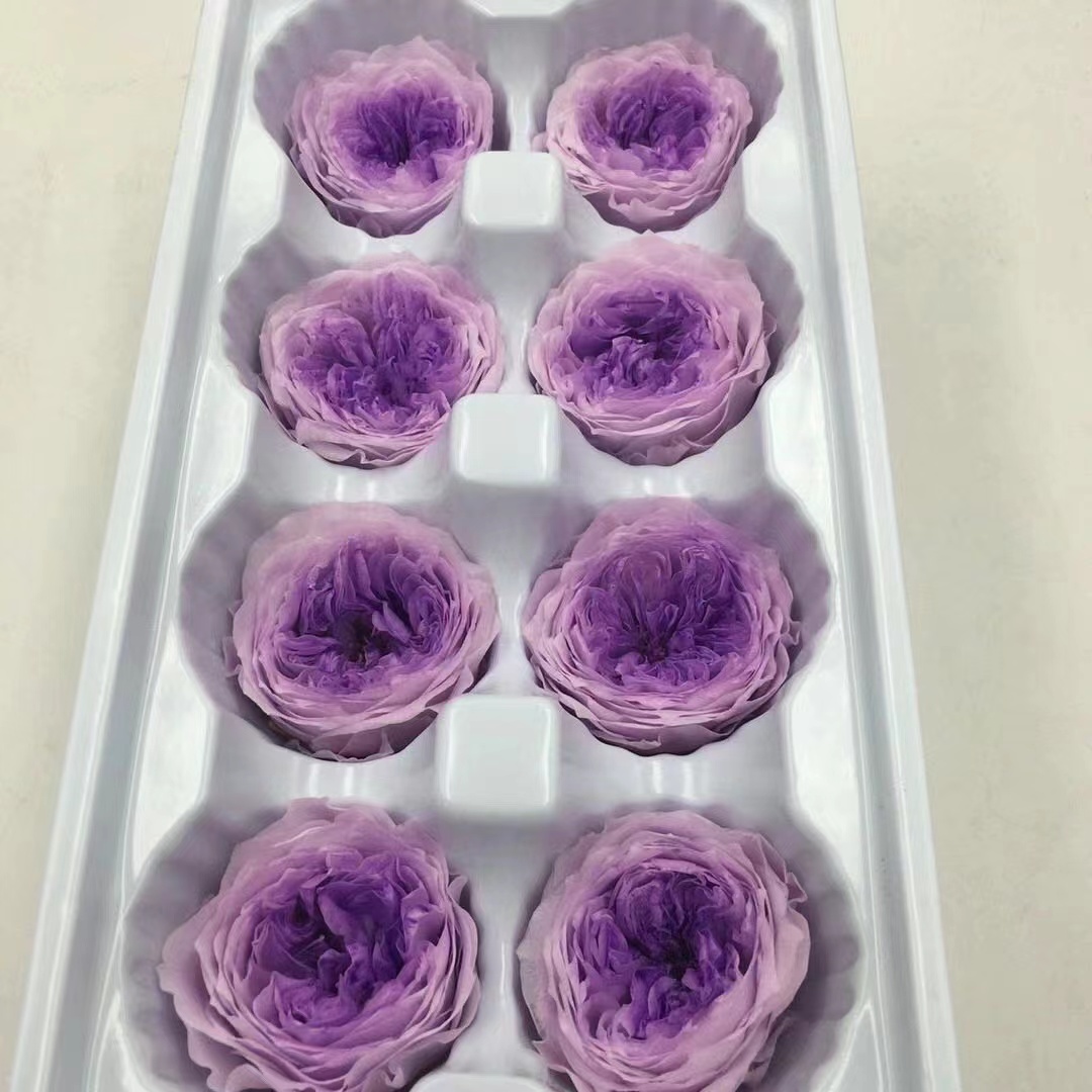 4-5CM (8pcs-box)Austin Preserved Roses-01