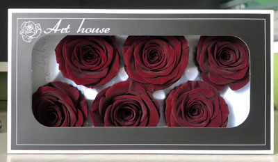 5-6CM (6pcs-box) Solid color preserved rose head-Dark Red