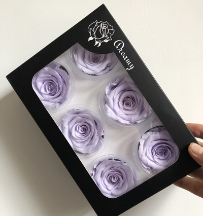 5-6CM (6pcs-box) Solid color preserved rose head-light purple