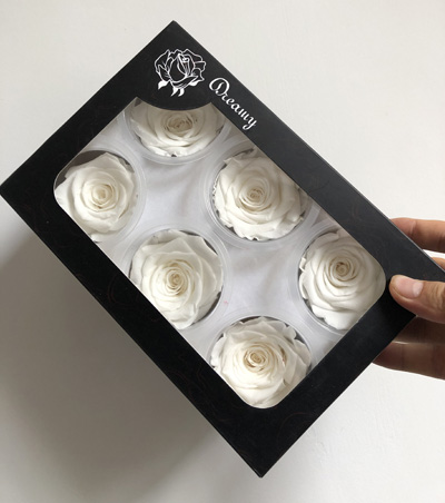 5-6CM (6pcs-box) Solid color preserved rose head-White color