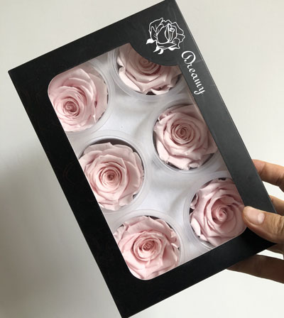 5-6CM (6pcs-box) Solid color preserved rose head-light pink