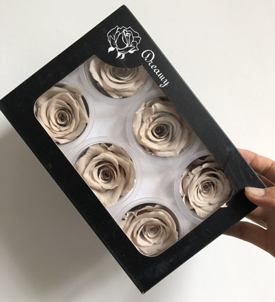 5-6CM (6pcs-box) Solid color preserved rose head-nude color