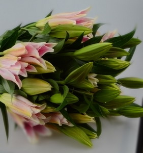 Fresh Cut flowers Lily-Sorbonne