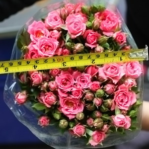 Fresh Cut Flowers-Spray Roses-02