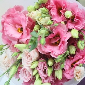 Fresh Cut Flower-Eustoma Flower-03