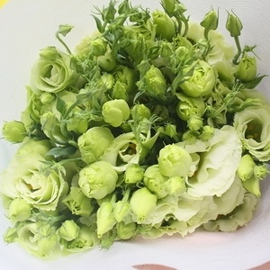 Fresh Cut Flower-Eustoma Flower-02