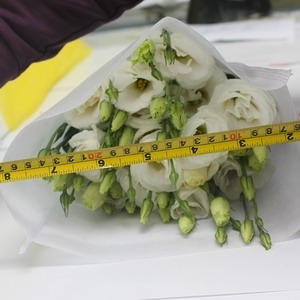 Fresh Cut Flower-Eustoma Flower-05