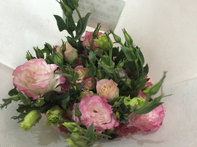 Fresh Cut Flower-Eustoma Flower-07