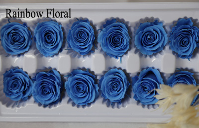 3-4cm(12pcs-box) solid color preserved rose head-06