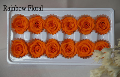 3-4cm(12pcs-box) solid color preserved rose head-10