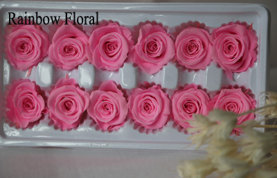 3-4cm(12pcs-box) solid color preserved rose head-09