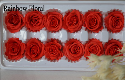 3-4cm(12pcs-box) solid color preserved rose head-05