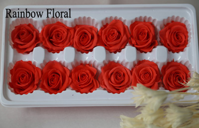 3-4cm(12pcs-box) solid color preserved rose head-03