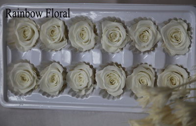 3-4cm(12pcs-box) solid color preserved rose head-08