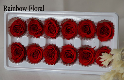 3-4cm(12pcs-box) solid color preserved rose head-12