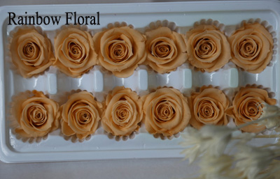 3-4cm(12pcs-box) solid color preserved rose head-04