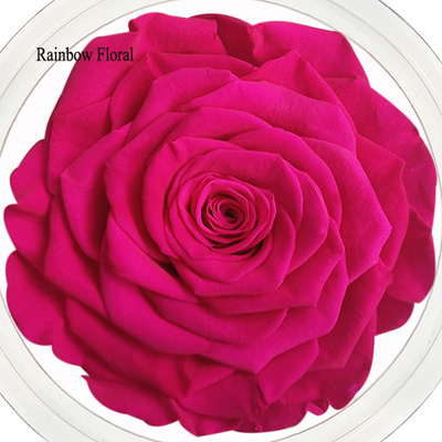 9-10CM Big Size preserved Rose head(1pcs-box)-11