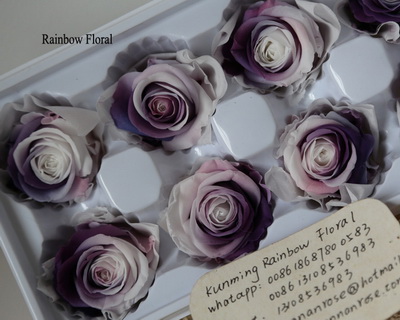5-6CM(6pcs-box) Bi-color preserved rose head-14