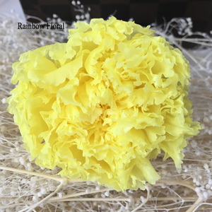 4-5CM(8pcs-box) Preserved Carnation head-07