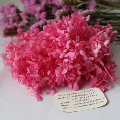 Preserved Hydrangea-06