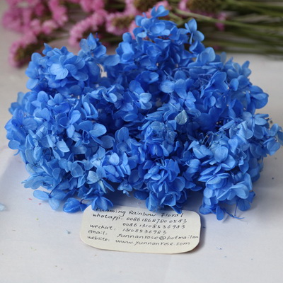 Preserved Hydrangea-10