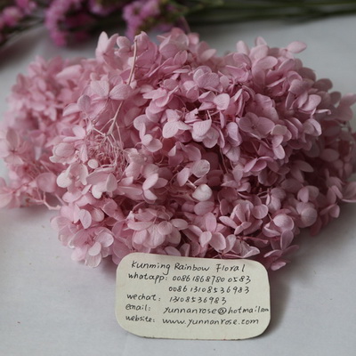 Preserved Hydrangea-14