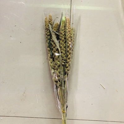 Dried Millet Flowers-01