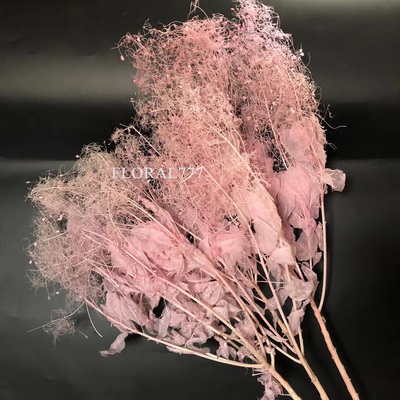 Preserved Smoke Tree Flower-02