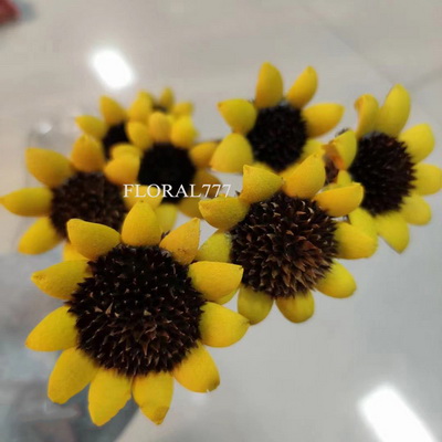 Dried Sunflower Flower-02