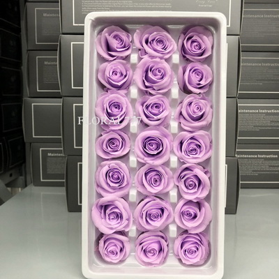 2-3cm Preserved Rose-10