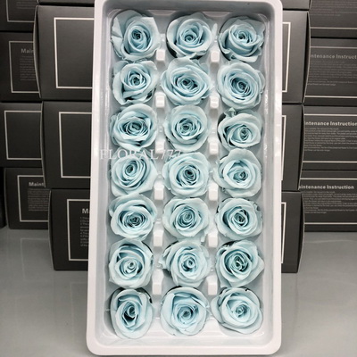 2-3cm Preserved Rose-12