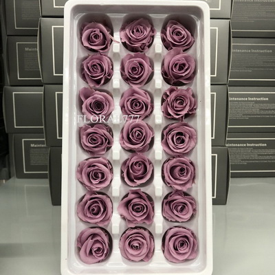 2-3cm Preserved Rose-11