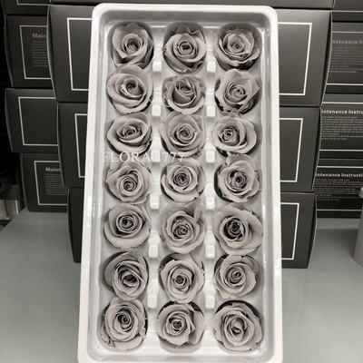 2-3cm Preserved Rose-21