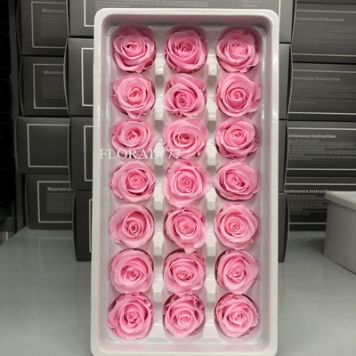 2-3cm Preserved Rose-22