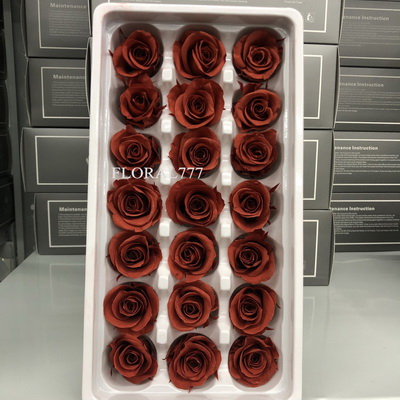 2-3cm Preserved Rose-34