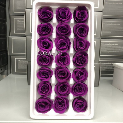 2-3cm Preserved Rose-24