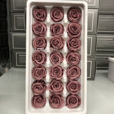 2-3cm Preserved Rose-25