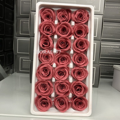 2-3cm Preserved Rose-28