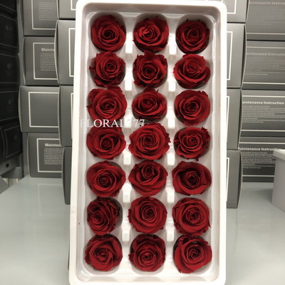 2-3cm Preserved Rose-18