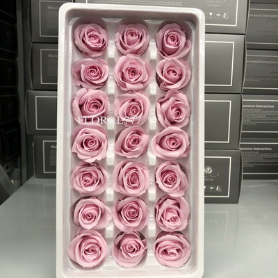 2-3cm Preserved Rose-35