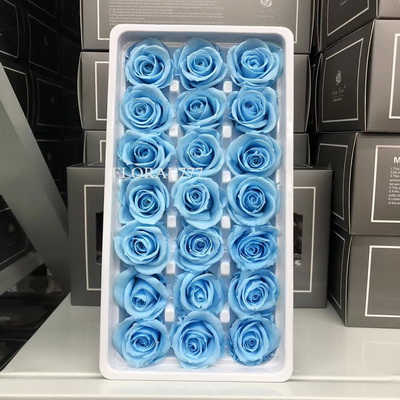 2-3cm Preserved Rose-27