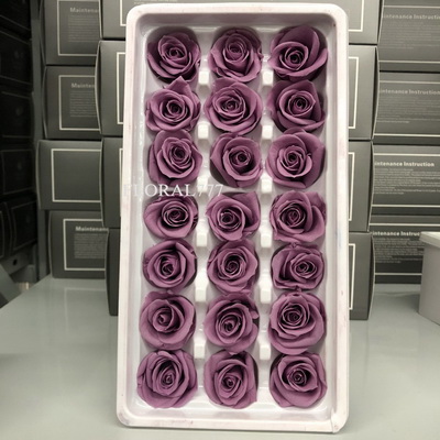 2-3cm Preserved Rose-20