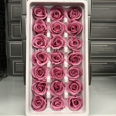 2-3cm Preserved Rose-31